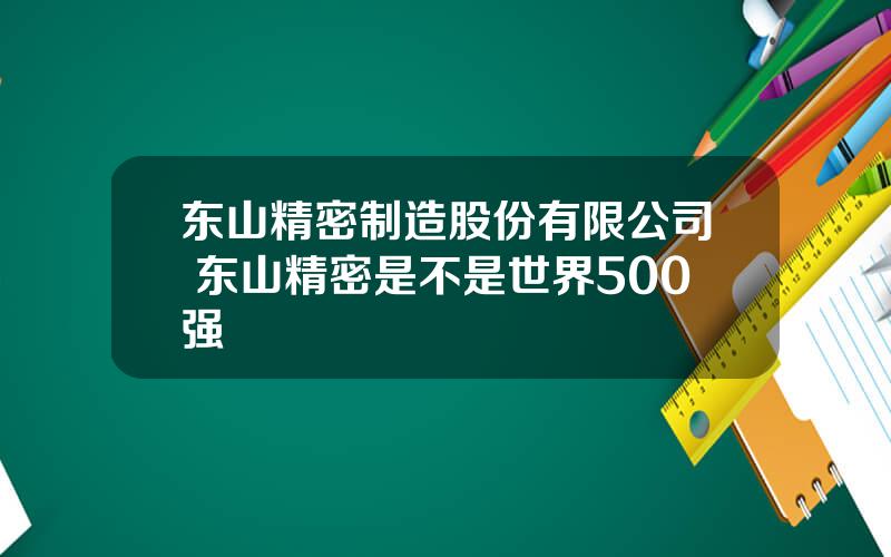 东山精密制造股份有限公司 东山精密是不是世界500强